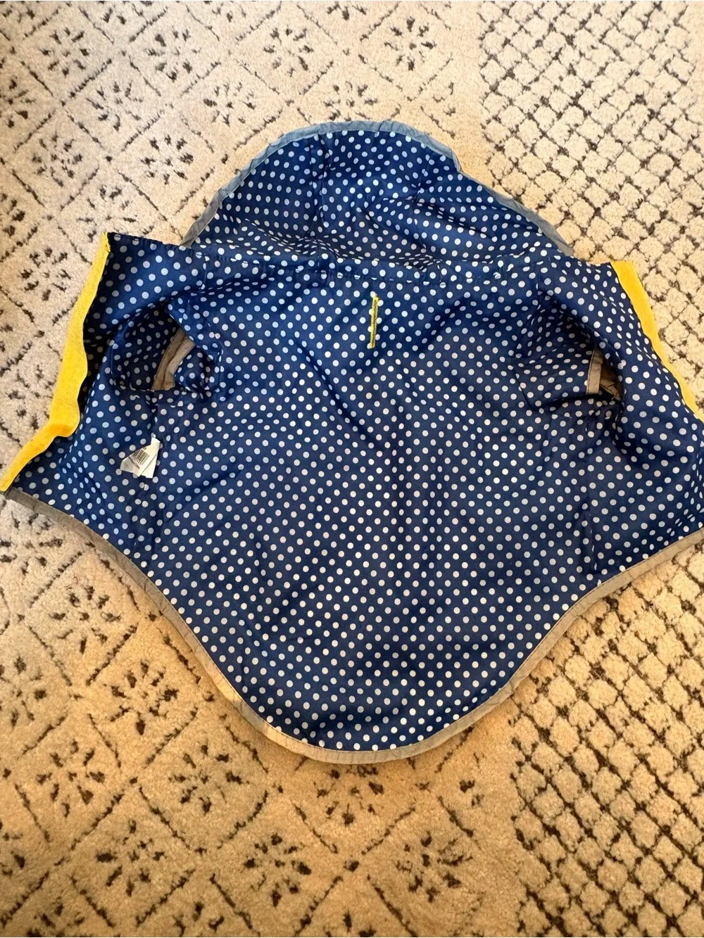 Yellow Dog Raincoat with Polka Dot Trim